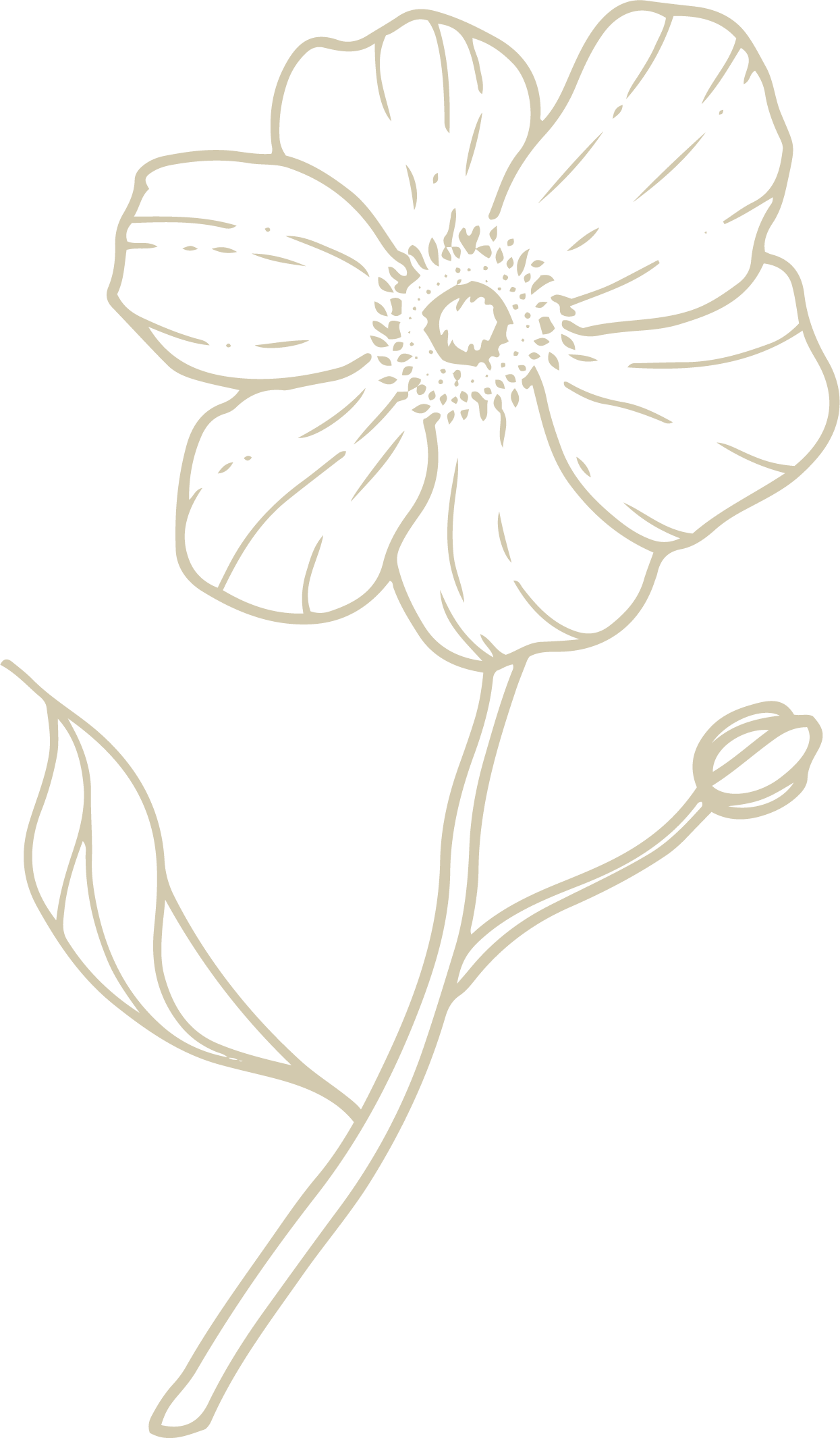 Illustrated Flower